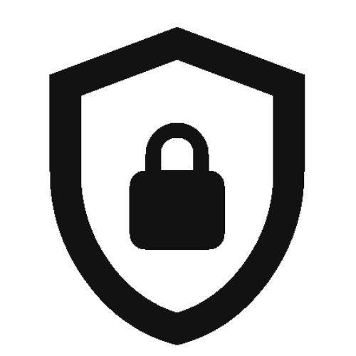 SSL / DNS Icon